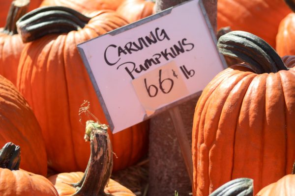 An advertisement for carving pumpkins at the Kirkwood Farmer's Market.